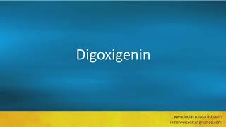 Pronunciation of the words quotDigoxigeninquot [upl. by Grae728]