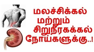 TamilTamil NattuTamil Nattu MaruthuvamTamil Siddha MaruthuvamTamil Natural MedicineSiddha [upl. by Duck]