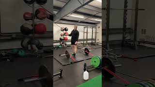 Rogue deadlift platform vs Elitefts deadlift platform [upl. by Tam]