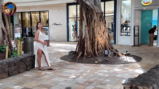 Waikiki Walking Tour  International Market Place to Royal Hawaiian  May 4th 2024 [upl. by Aggappe]