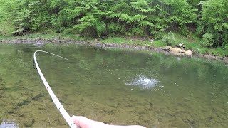 RIVER FISHING for Trout Bass amp Sunfish [upl. by Ednargel]