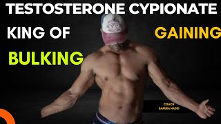 testosterone Cypionate Cycle  beginner steroid cycle  Gaining Cycle  bulking cycle [upl. by Htabazile]