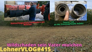 LohnerVLOG415 Wildschaden mulchen I Steinschlagschutz am Heckmulcher I Fendt 926 Frontzapfwelle [upl. by Ailb]