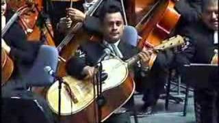 VIOLIN HUAPANGO MARIACHI VARGAS DE TECALITLAN [upl. by Wettam]