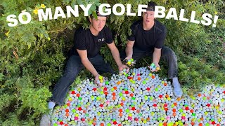 We Found Thousands of Lost Balls in the Golf Course Bushes [upl. by Becky]