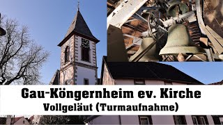 GauKöngernheim GauOdernheim ev Kirche Vollgeläut Turmaufnahme [upl. by Alaster526]