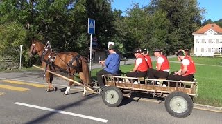 Alpabfahrt Urnäsch 1992015 [upl. by Eitsym16]