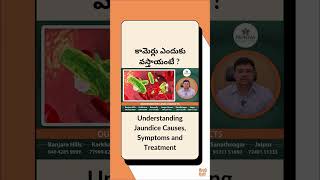 కామెర్లు ఎందుకు వస్తాయంటే   Understanding Jaundice Causes Symptoms and Treatment  Marella Health [upl. by Manheim]