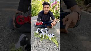 Big and Small Remote Control Cow 🐄 Testing rccow [upl. by Saree]