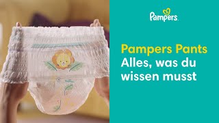 Die wichtigsten Fragen zu Pampers Pants [upl. by Constancy]