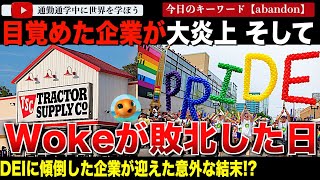 保守層に支えられていたのにDEIに傾倒し目覚めすぎてしまったホームセンターが大炎上！そして行き着いたのはネット大歓喜の誰も予想しないしない結末だった・・・ [upl. by Elaine]