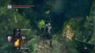 Dark Souls Expert Walkthrough 8  Darkroot Basin and Moonlight Butterfly Defeated [upl. by Eissirk]