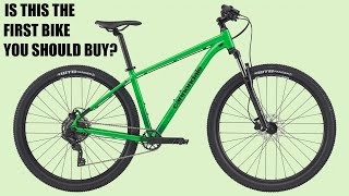 Entry Level Budget Mountain Bikes from Big Brands [upl. by Eelloh]