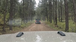 Exploring hidden trails in the Black Hills of South Dakota Day 1 [upl. by Nahc]