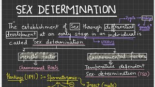 Sex Determination ll Male and female heterogamety ll Pseudoautosomal genes [upl. by Runstadler382]