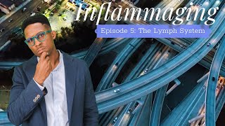 Inflammaging  Episode 5 The Lymph System [upl. by Ronica]