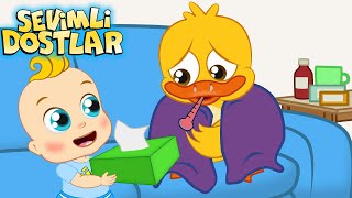 Hapşu YENİ  Sevimli Dostlar Bebek Şarkıları  Adisebaba  Kids Songs Nursery Rhymes [upl. by Gilder]