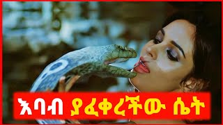 🔴 ወደ እባብ የምትቀየረው ሴት  film wedaj  mert film  ምርጥ ፊልም  sera film [upl. by Orten912]