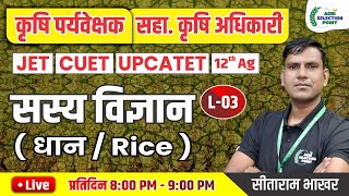 3  फसलोत्पादन  धान की फसल  Agri Supervisor  12th Ag  JET  CUET ASP Coaching Jaipur [upl. by Ais]