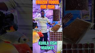 Best Food For Aquarium Fish  Frozen Food [upl. by Eannej]