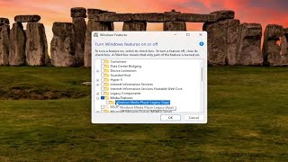 Unable to Install Windows Media Feature Pack  Quick Fix Guide [upl. by Sekoorb]