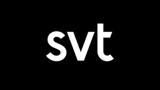 SVT intervju med Frej Larsson [upl. by Forland289]