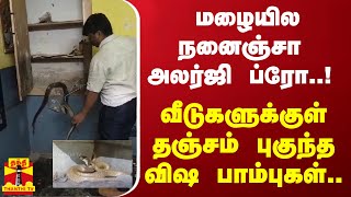 மழையில நனைஞ்சா அலர்ஜி ப்ரோ  வீடுகளுக்குள் தஞ்சம் புகுந்த விஷ பாம்புகள் [upl. by Akirahc]