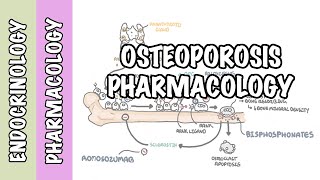 Osteoporosis pharmacology prevention and treatment bisphosphonates denosumab SERMs [upl. by Narcis434]