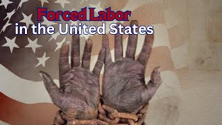 Peonage Involuntary Servitude Modern Day Slavery in the United States [upl. by Aleacem171]