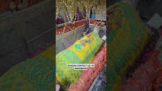 SAIYED ALI MIRA DATAR DARGAH SAREF GUJARAT NEW REELS VAIRAL REELS [upl. by Blunk]