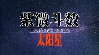 紫微斗数｜如何看懂自己的命盘｜太阳星 [upl. by Nrubyar]