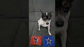 Texans vs Cowboys nfl nflpredictions mondaynightfootball week11 houstontexans dallascowboys [upl. by Coats]