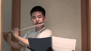 1st mov  Telemann Methodical Flute Sonata in A major  Adagio [upl. by Akimed]