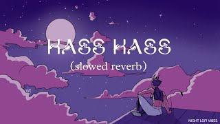 HASS HASS  DILJIT DOSANJH  SLOWED REVERB  NIGHT LOFI VIBES [upl. by Revkah59]