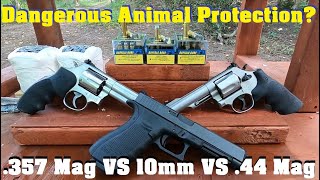 🐻Dangerous Animal Protection💥💥 357 Mag VS 10mm VS 44 Mag💥💥 [upl. by Acinimod]