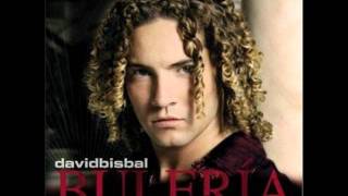 David Bisbal  Permítame señorawmv [upl. by Yelsew]