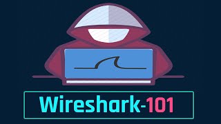 Wireshark Tutorial For Beginners 2022 From Absolute Basics  Packet Capture  Kali Linux [upl. by Doone392]