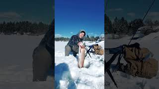 HUGE FISH FIRST TIME ICE FISHING fishing shorts outdoors [upl. by Refannej827]