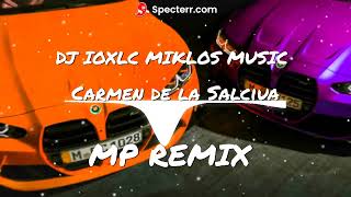 Carmen de la Salciua amp Borko x DJ MIKLOS MUSIC MP Mix [upl. by Eentirb284]