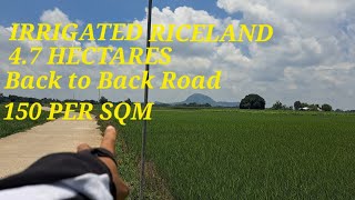 vlog 541 IRRIGATED RICELANDBACK BACK ROAD IN BALUNGAO PANGASINAN 47HAS 150 PER SQM [upl. by Grevera]