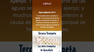 TERCERA TROMPETA de Apocalipsis 81011 Hedjusan [upl. by Suiramad]