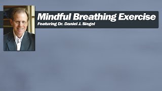 Mindful Breathing with Dr Daniel J Siegel [upl. by Hasheem861]