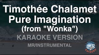 Timothée ChalametPure Imagination from quotWonkaquot MRInstrumental Karaoke Version [upl. by Nosyrb]