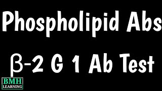 Beta2 Glycoprotein 1 Antibody Test  Antiphospholipid Antibodies [upl. by Zealand229]