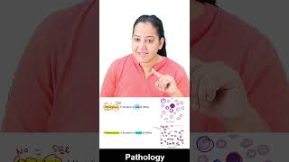 1 minute learning Anisocytosis and Poikilocytosis [upl. by Shulins]