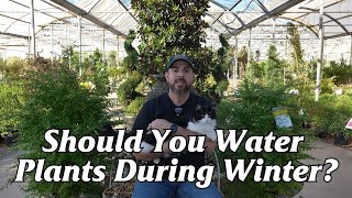 💧 Should You Water Plants in Winter 💧 [upl. by Alorac]