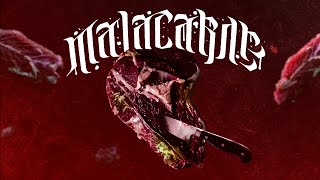 SCICLITANO  MALACARNE LYRIC VIDEO [upl. by Ferren713]