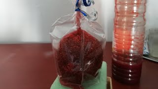 Manzanas con chamoy versión mejorada 🙃🙃🙃 [upl. by Danete826]