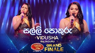 Salli Pokuru සල්ලි පොකුරු  Vidusha Rajaguru  Derana Dream Star Season 11  GRAND FINALE [upl. by Cagle266]