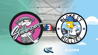 Shenanigans v Blake St Bullies  Div 3  15th October  IceHQ Rec League ice hockey [upl. by Ecirtal]